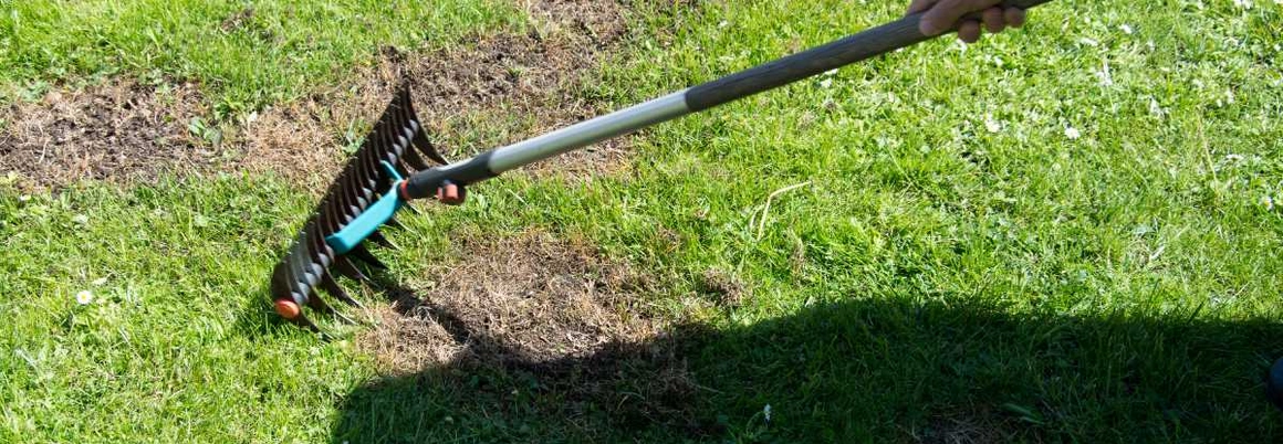 Person recht Rasen mit einem Rechen